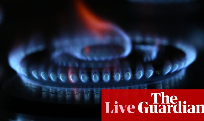 Australia news live: competition watchdog warns of upcoming gas shortfalls; rescued Hadi Nazari ‘keen for another hike’