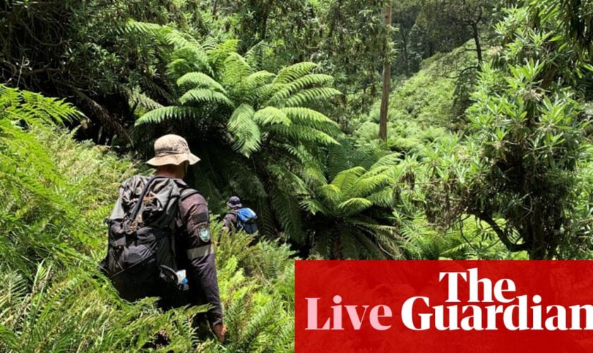 Australia news live: search for missing Kosciuszko hiker to enter 12th day; cool change to break east coast heatwave