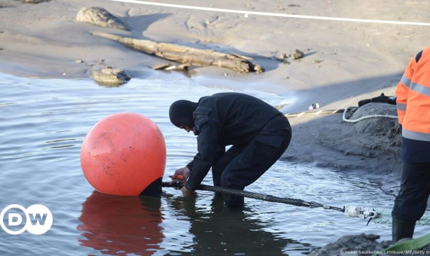 Baltic leaders discuss undersea pipeline and cable security