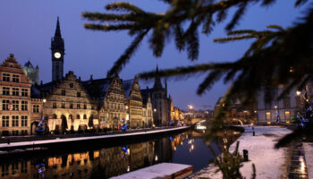 Belgium’s Food Agency Advises Against Eating Your Christmas Tree