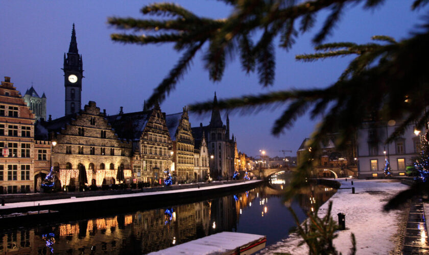 Belgium’s Food Agency Advises Against Eating Your Christmas Tree