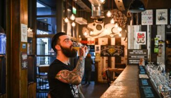 BrewDog pubs offering £1 pints for punters who say seven-word phrase next week