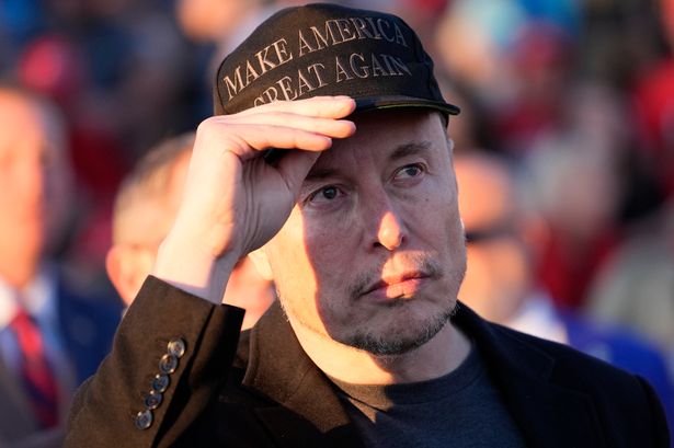 Brits overwhelmingly reject Elon Musk as half say he's 'threat to democracy'