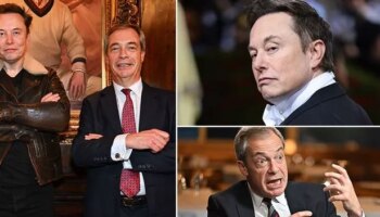 Brutal 'true patriot' swipe aimed at Nigel Farage after his grovelling to Elon Musk