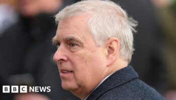 Campaign group report Prince Andrew to police over 'false' business name claim