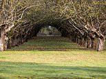 Campaigners take council to court over plans for 'sustainable green bus route' that would plough through miles of pristine countryside