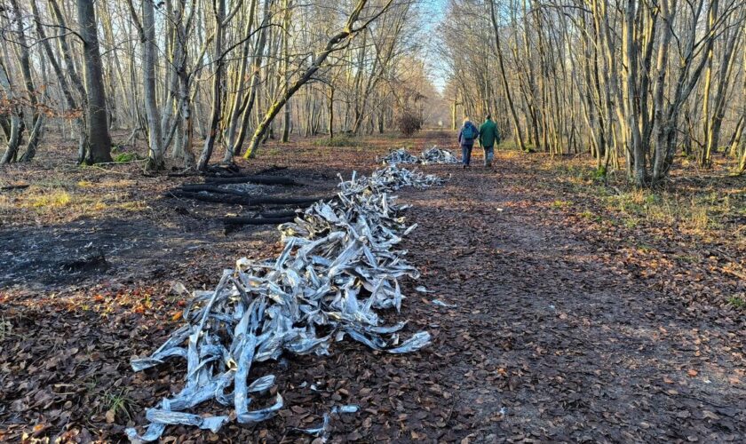 « C’est un crime contre l’environnement » : quand les câbles volés sont brûlés en forêt pour récupérer le cuivre