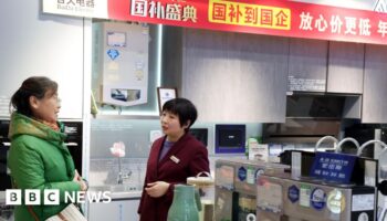 China bets on kitchen appliances to help boost economy