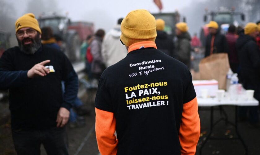 Colère des agriculteurs : les autorités interdisent « tout rassemblement non déclaré » au centre de Paris et à Rungis ce dimanche