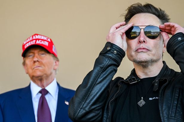 Could US anoint 'President Musk'? How Tesla billionaire is stealing Trump’s spotlight