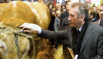 Crise agricole: François Bayrou temporise devant les syndicats avant le Salon de l’agriculture