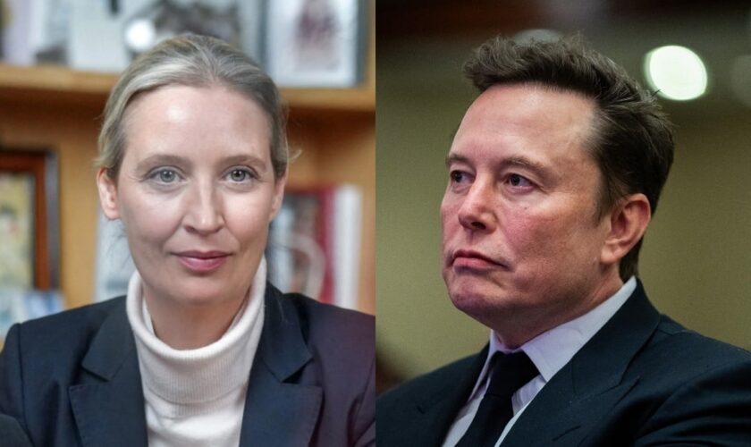 De Hitler aux Martiens, l'échange hallucinant entre Elon Musk et la cheffe de l'extrême droite allemande