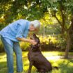 Dog trainer reveals one command every pet should learn and it's not sit