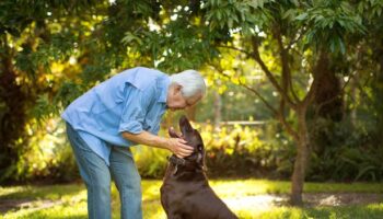 Dog trainer reveals one command every pet should learn and it's not sit