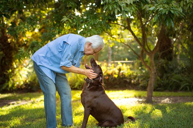 Dog trainer reveals one command every pet should learn and it's not sit