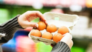 Einkaufen im Supermarkt: Warum Kassierer wirklich Eierkartons öffnen – nicht wegen möglicher Bruchstellen