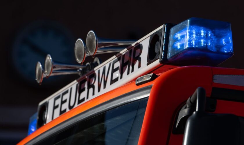 Die Feuerwehr rettete einen Hund aus dem Haus. (Symbolbild) Foto: Marijan Murat/dpa