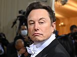 Elon Musk and Dominic Cummings 'in plot to sabotage UK politics': Former No 10 adviser is helping orchestrate Tesla billionaire's attacks on Keir Starmer, government sources claim