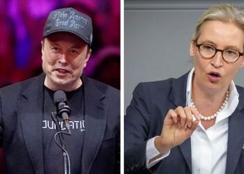 Elon Musk telefoniert mit Alice Weidel: Warum die AfD-Chefin versagte – und trotzdem gewinnt