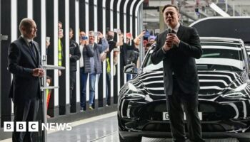 Europe leaders criticise Musk attacks