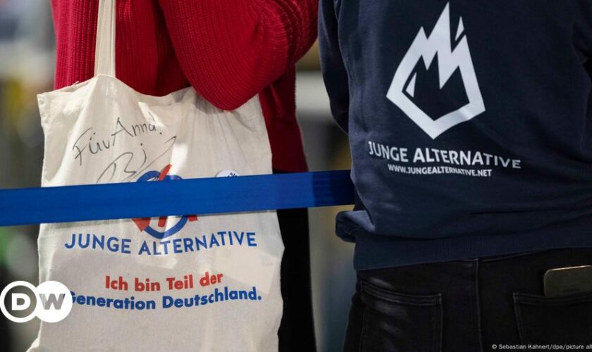 Far-right AfD replaces 'Young Alternative' group