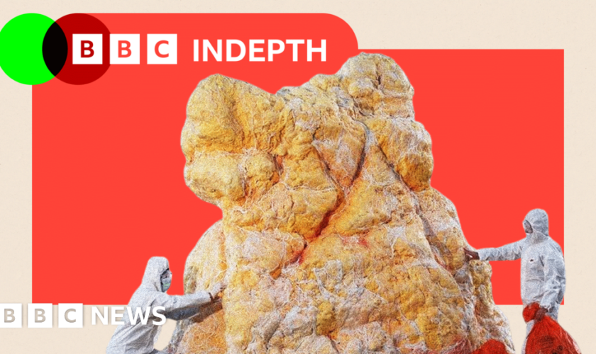 Fatbergs turned into perfume - inside Britain's bizarre new industrial revolution