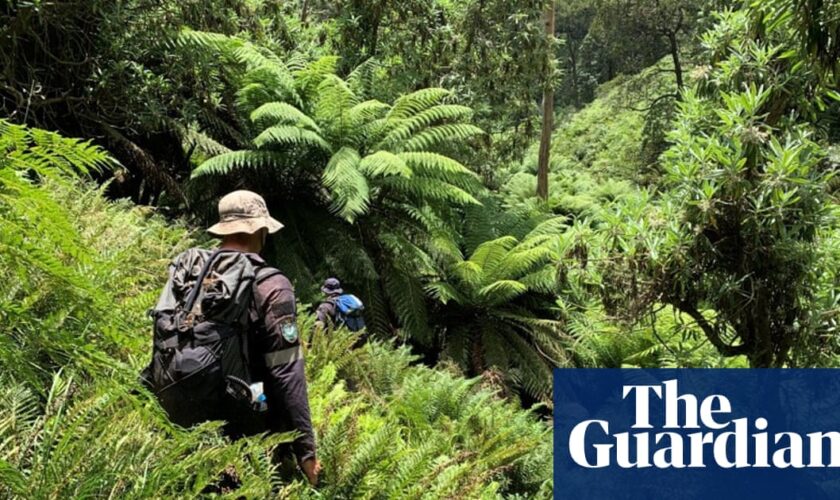 Fears for hiker in ‘bloody tough country’ as Kosciuszko search enters day 11