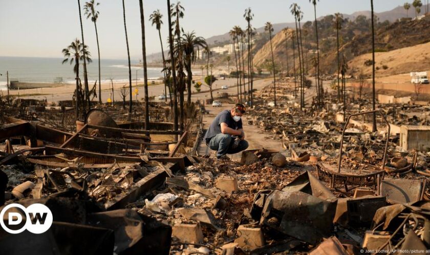 Feuer im Raum Los Angeles: Zahl der Todesopfer steigt auf 16