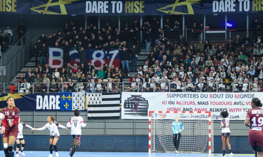 Football : les fans lyonnais, recalés du stade Francis-Le Blé pour Brest-OL, finissent au match de handball féminin