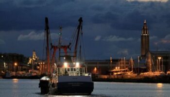 Frankreich: Polizei beschlagnahmt tonnenweise Kokain im Hafen von Le Havre