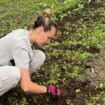 Gemüse-Anbau im Mietgarten: Ich, die Ackerheldin