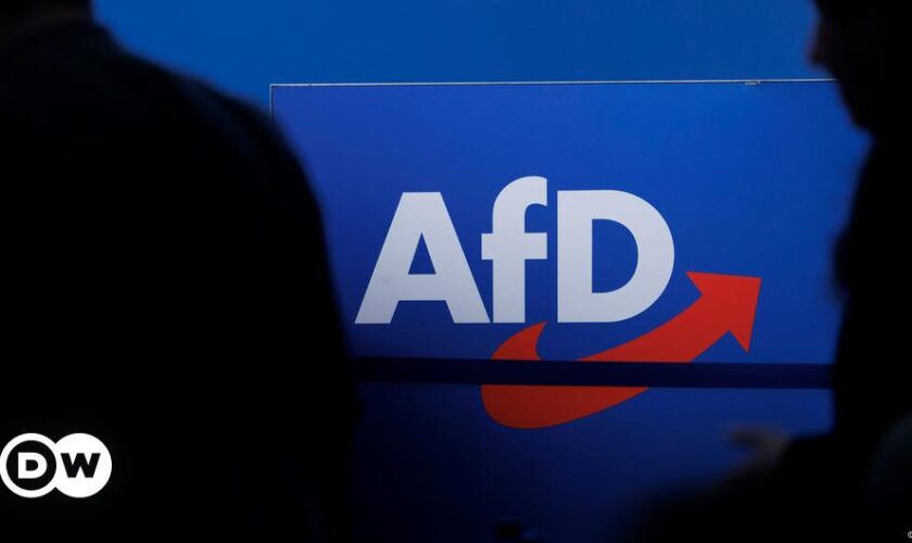 German police investigate AfD mock plane ticket campaign