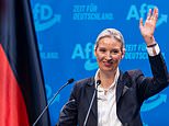 Germany's AfD vows 'total closure of borders for 100 days' and 'remigration' that would see mass deportation of immigrants if the party is successful in forthcoming election