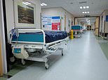 Half a million Brits in 12-hour A&E trolley hell: Shock figures show record numbers were left languishing - and the flu crisis can only make it WORSE