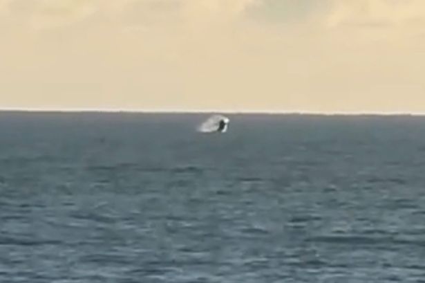 Humpback whales spotted frolicking off British beach in rare UK sighting