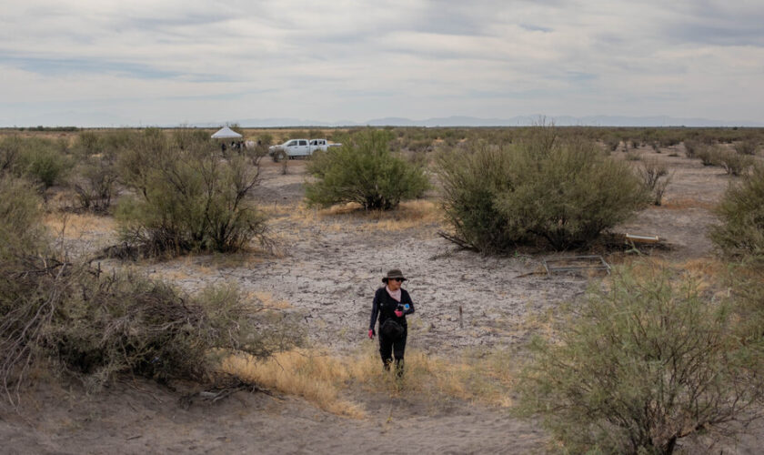 In Mexican Desert, Digging for a ‘Miracle’: Bringing the Missing Back Home