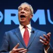 In Reversal, Musk Disparages Farage