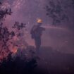 Incendies à Los Angeles : entre flammes et désinformation, la panique submerge la Cité des Anges