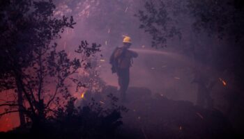 Incendies à Los Angeles : entre flammes et désinformation, la panique submerge la Cité des Anges