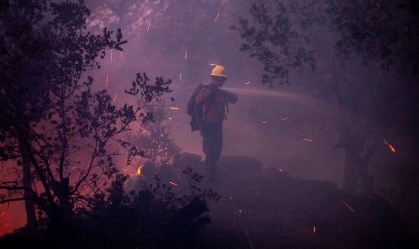 Incendies à Los Angeles : entre flammes et désinformation, la panique submerge la Cité des Anges