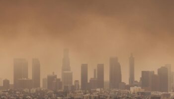 Incendies de Los Angeles : des effets sur la santé publique qui mettront des années à être connus