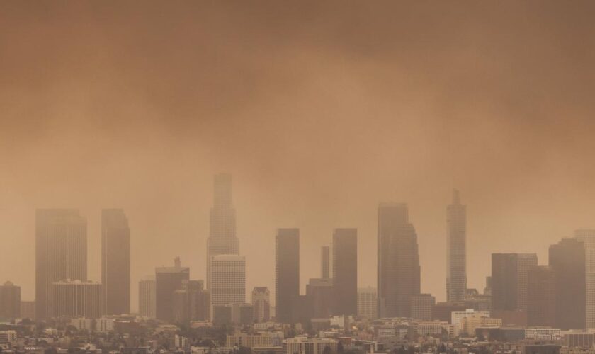 Incendies de Los Angeles : des effets sur la santé publique qui mettront des années à être connus