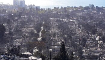 Incendies de Los Angeles: pour les pro-Trump, le coupable est tout trouvé, c'est la diversité