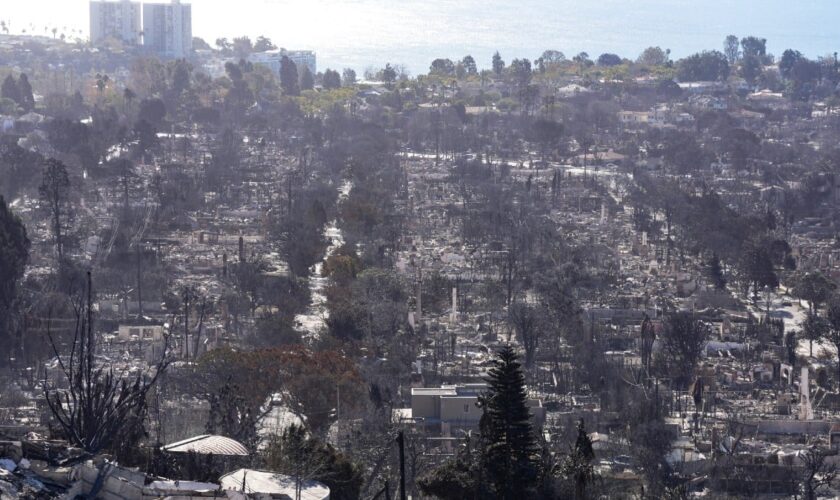 Incendies de Los Angeles: pour les pro-Trump, le coupable est tout trouvé, c'est la diversité