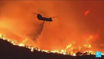 Incendies dévastateurs à Los Angeles : 11 morts, 10 000 bâtiments détruits