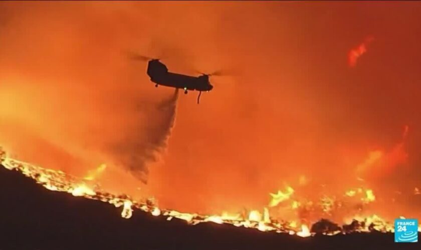 Incendies dévastateurs à Los Angeles : 11 morts, 10 000 bâtiments détruits