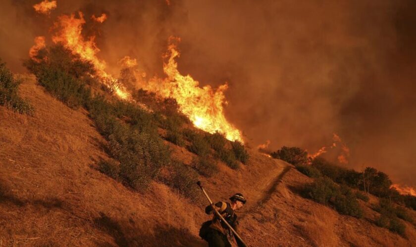 Incendies en Californie : quand la diversité devient le bouc émissaire préféré des conservateurs