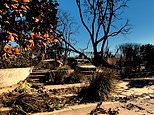 Incredible street footage shows the unimaginable devastation after LA's worst-ever wildfires ripped through city's ritzy Palisades enclave leaving nothing but ashes and rubble