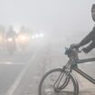 India: Thick fog brings New Delhi to a crawl