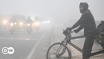 India: Thick fog brings New Delhi to a crawl